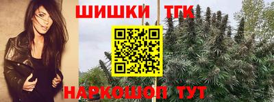 apvp Владимир