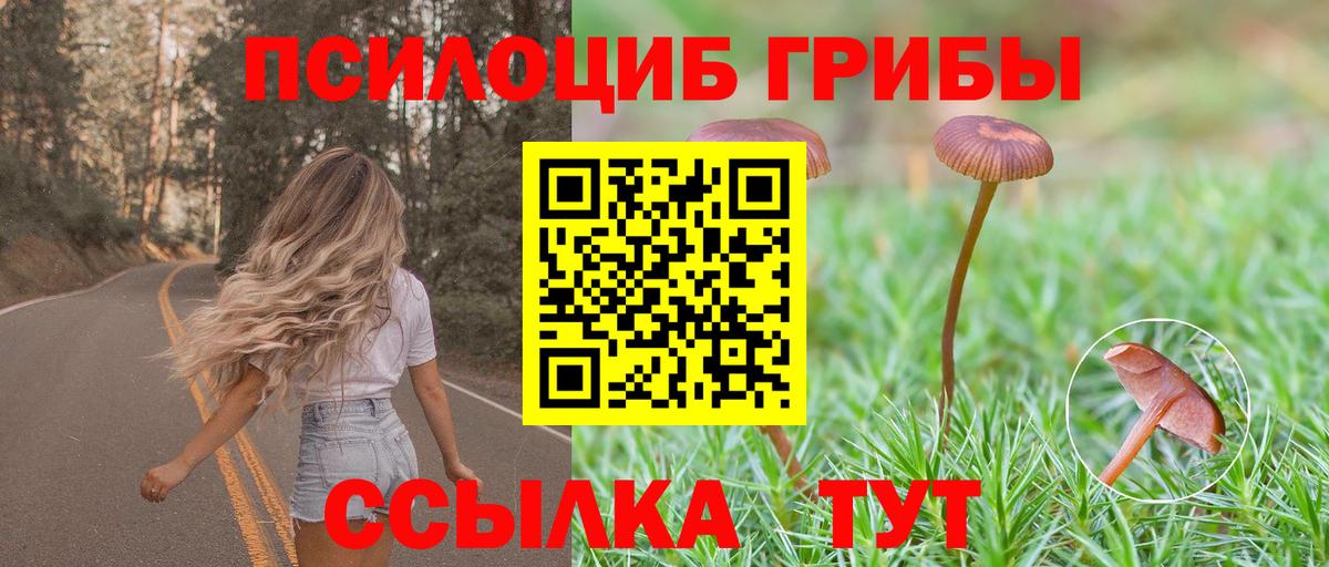 Усолье-Сибирское  Галлюциногенные грибы ЛСД  Псилоцибиновые грибы ЛСД  Вход с VPN 