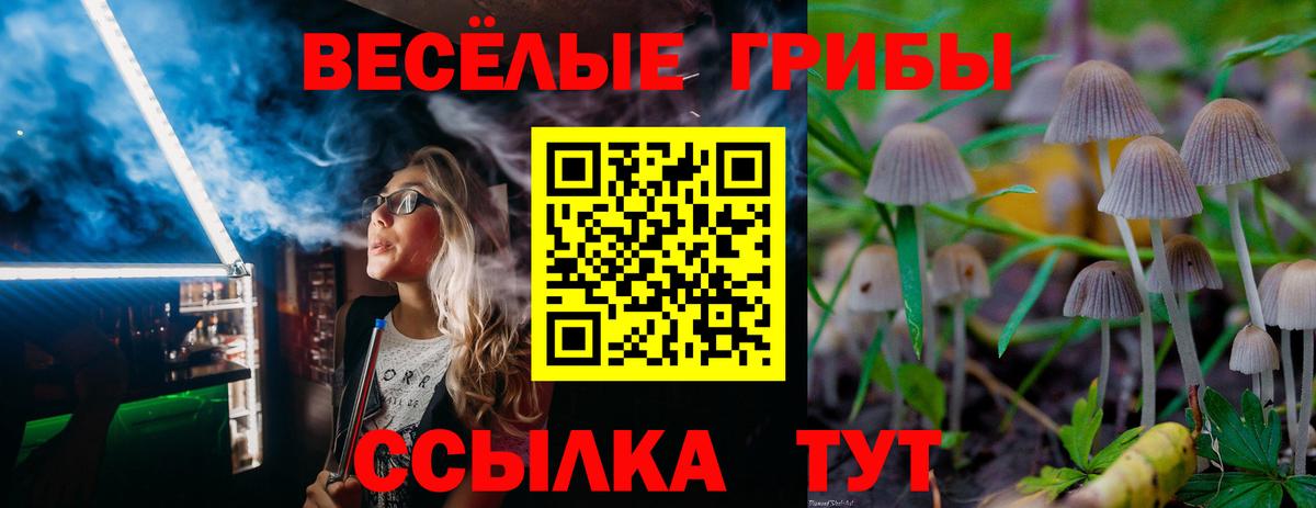 Галлюциногенные грибы Magic Shrooms Усолье-Сибирское